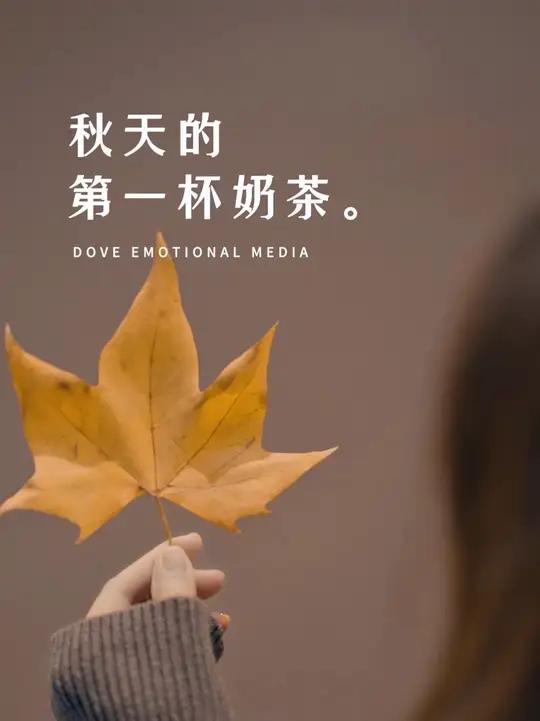 秋天的第一杯奶茶 “其实，喝不喝秋天第一杯奶茶并不重要，但你一定要知道，再不努力挣钱的话，