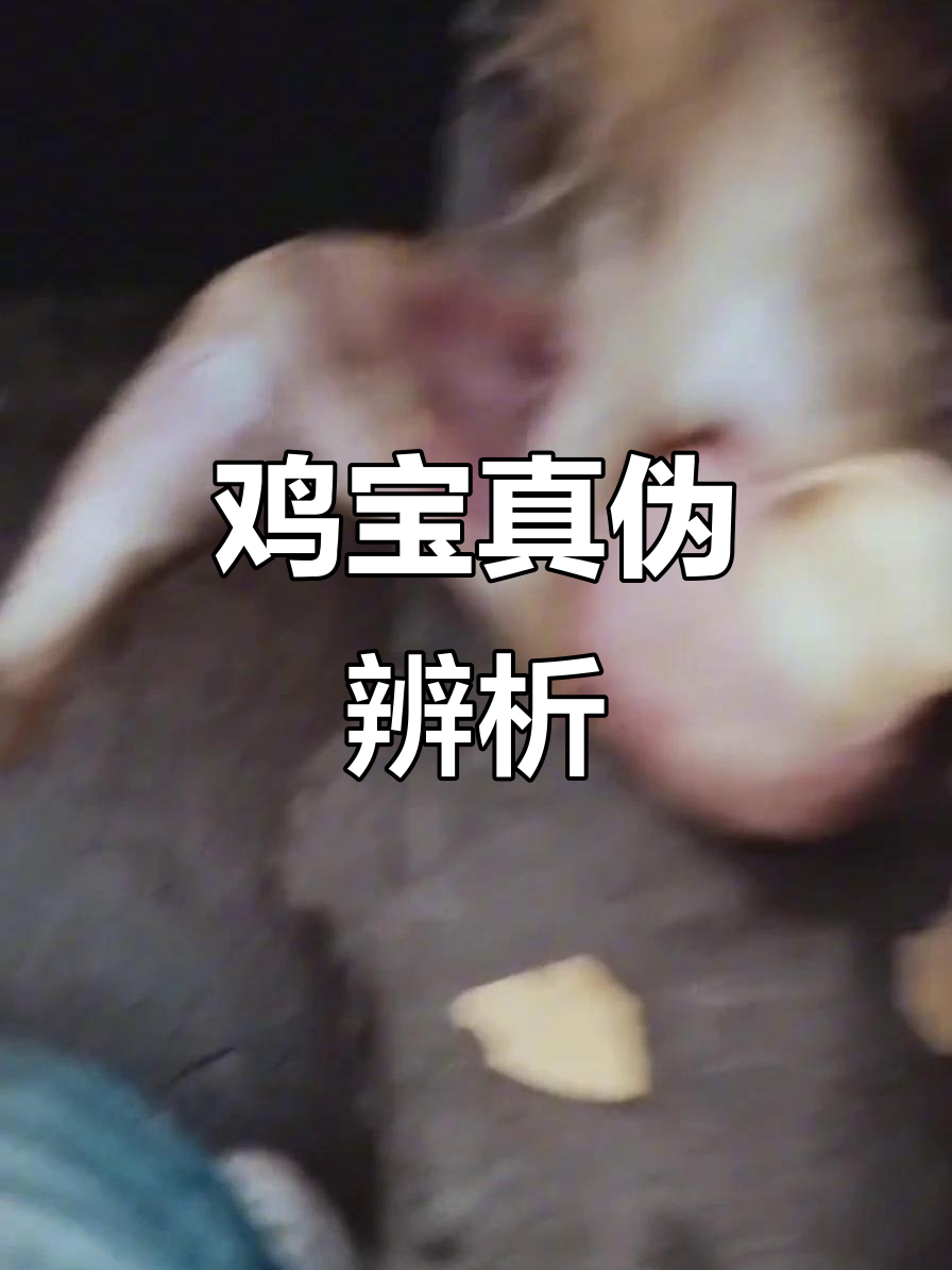鸡宝收购信息，真假辨别！