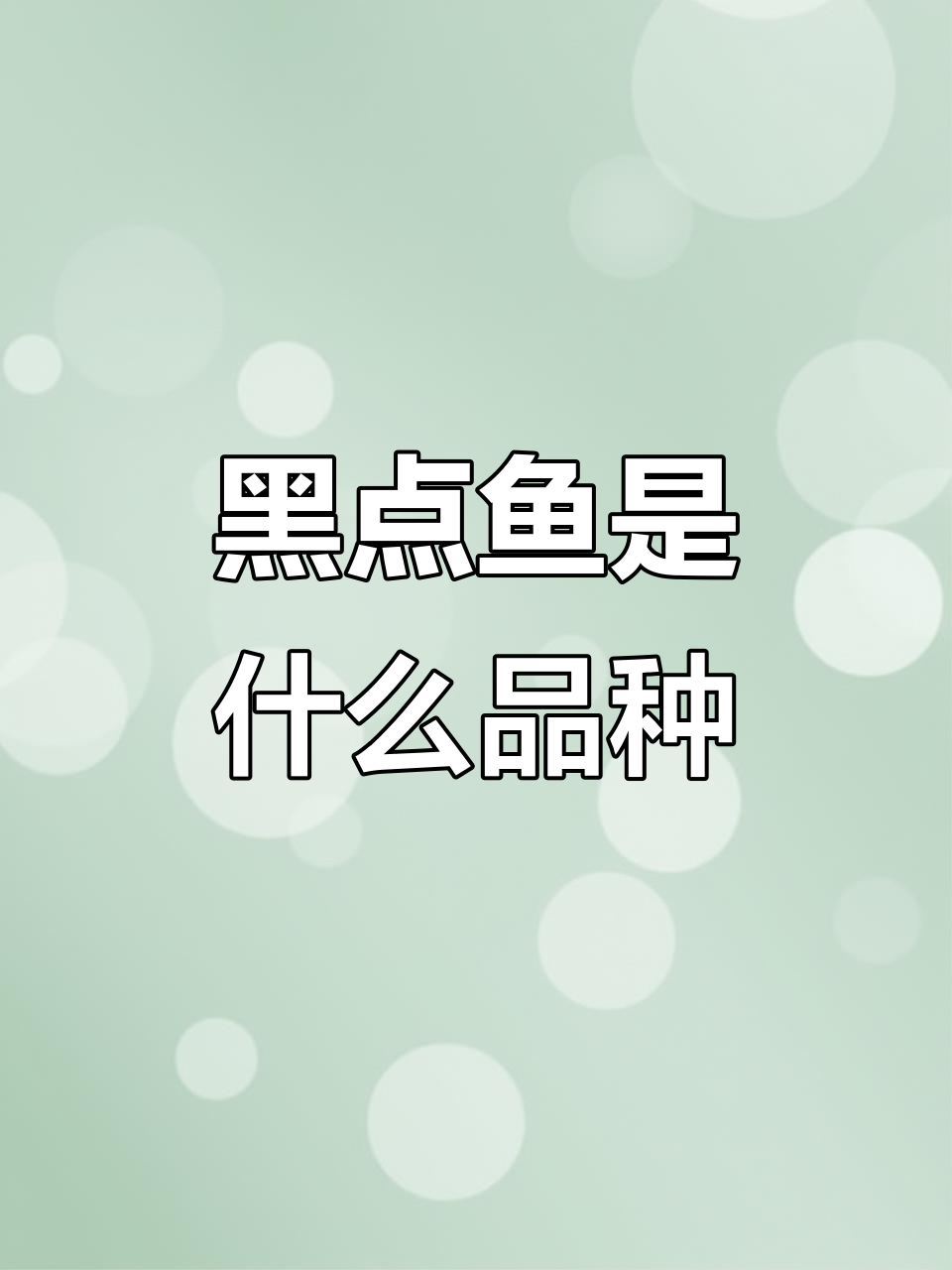身上有黑点的鱼,像鲈鱼的到底是什么品种?