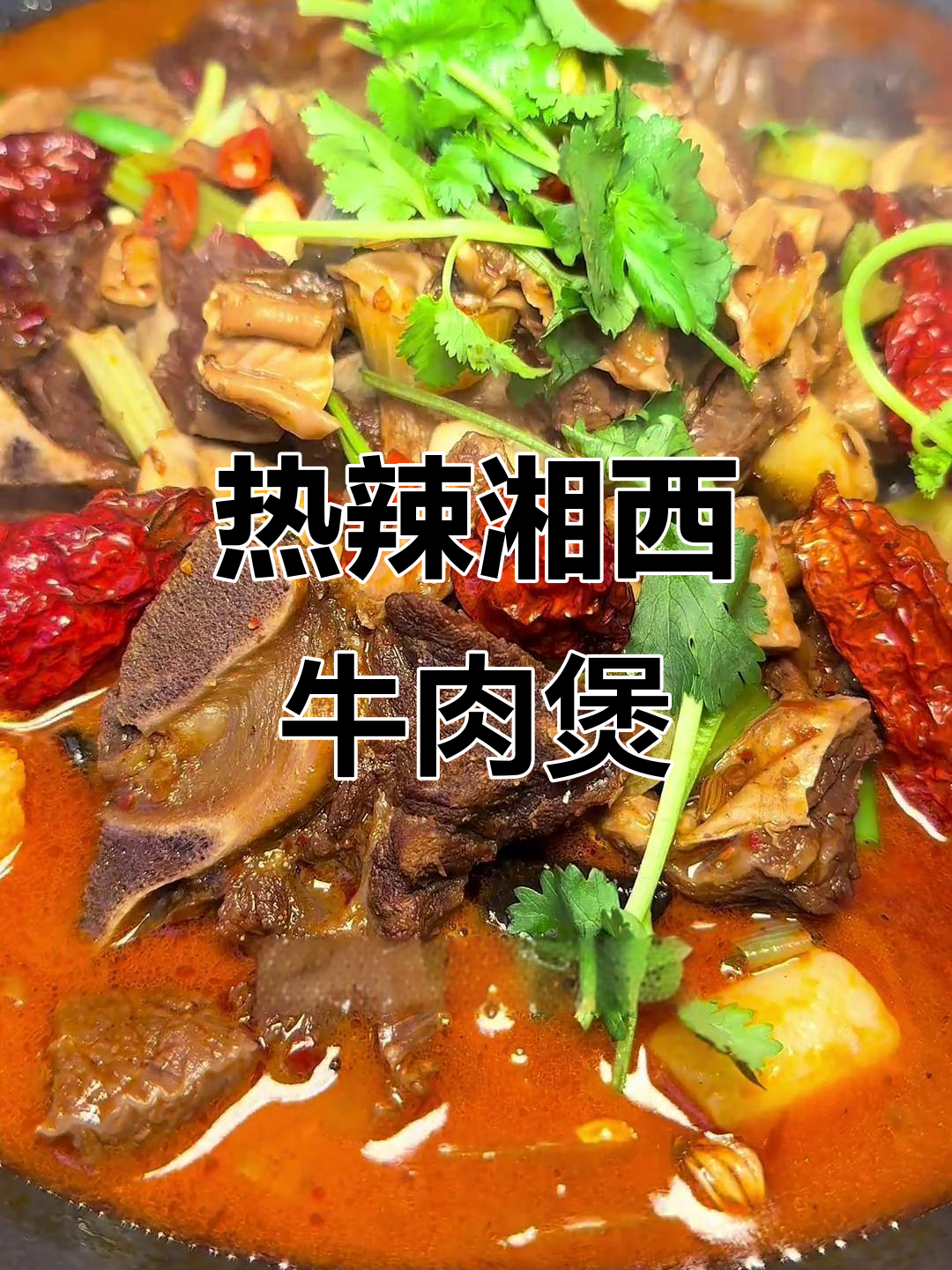 湘西麻辣牛腩煲,热气腾腾让人停不下来!