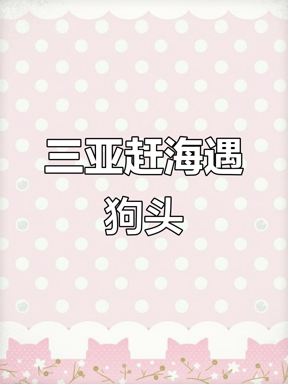 海南三亚赶海抓鱼,狗头鱼脾气暴躁竟能毒死同类