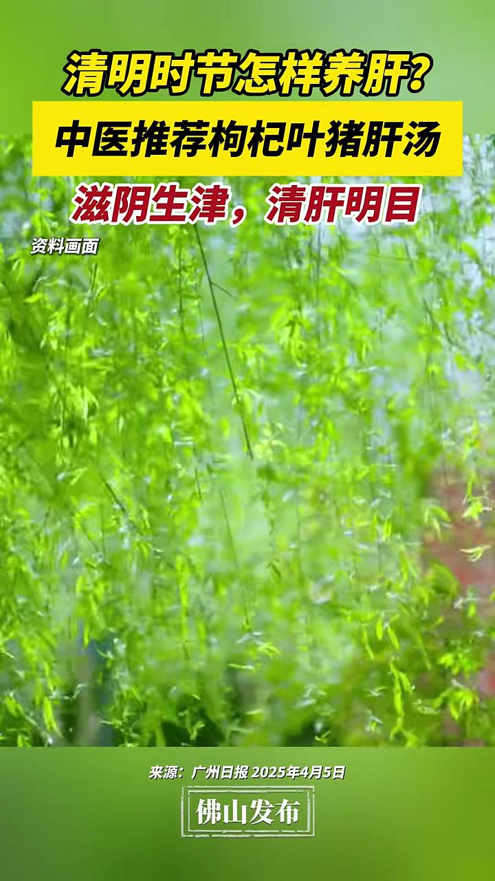 清明时节怎样养肝?中医推荐枸杞叶猪肝汤,可以滋阴生津,清肝明目!(编辑:陈茗炜;责编:唐欣