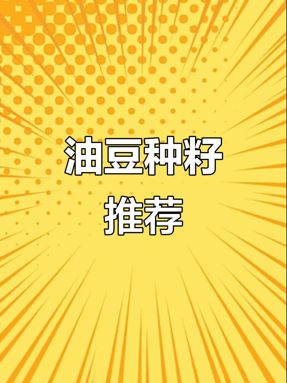 东北油豆角种子,四季皆宜,农家必备