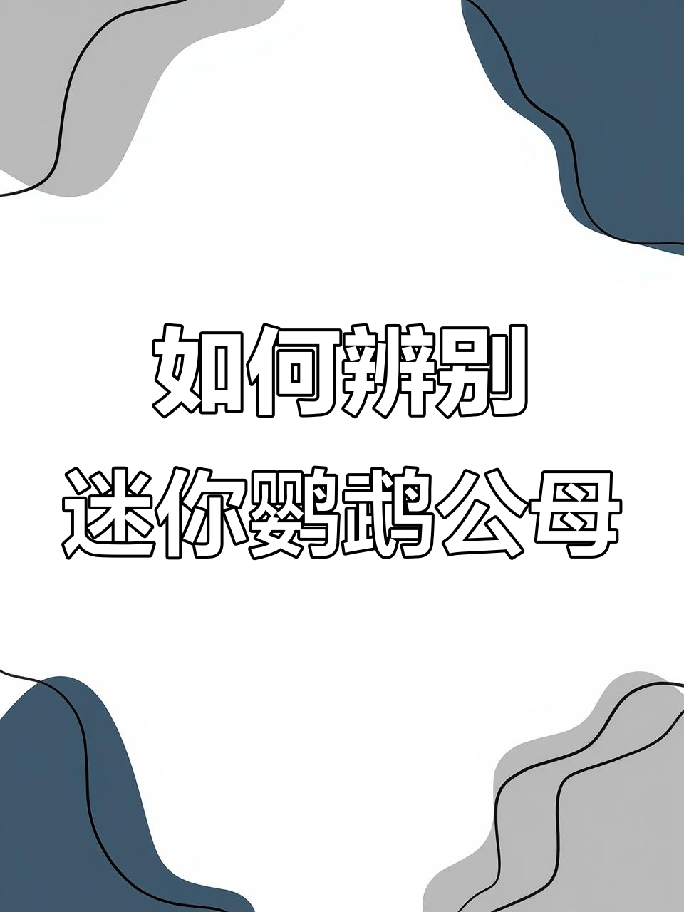 迷你鹦鹉公母分辨技巧,教你如何区分体型与背鳍