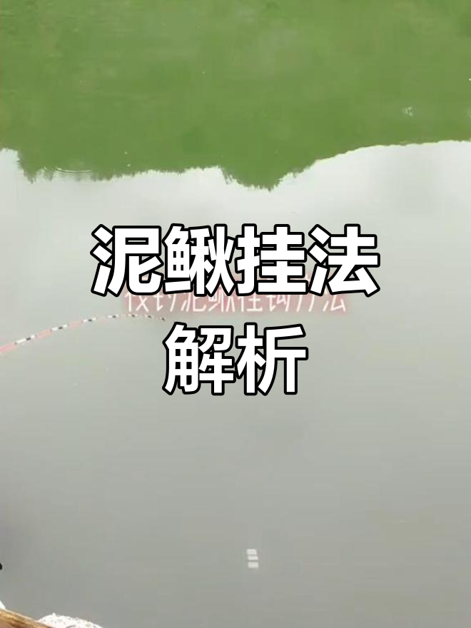 泥鳅挂钩技巧分享,轻松钓鱼