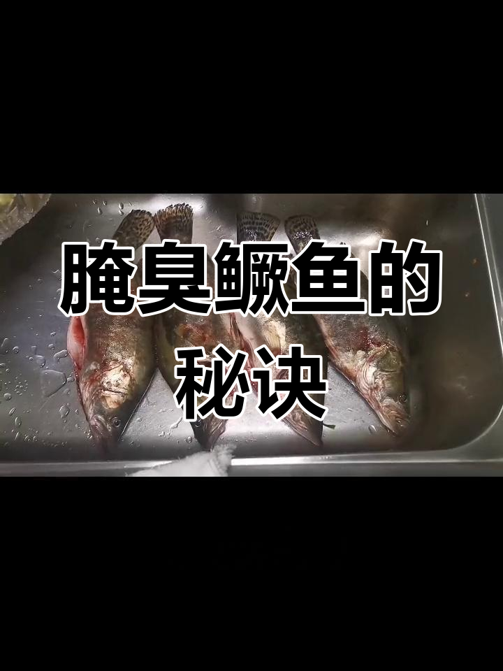 阿彪教你腌制臭鳜鱼,动手试试吧!