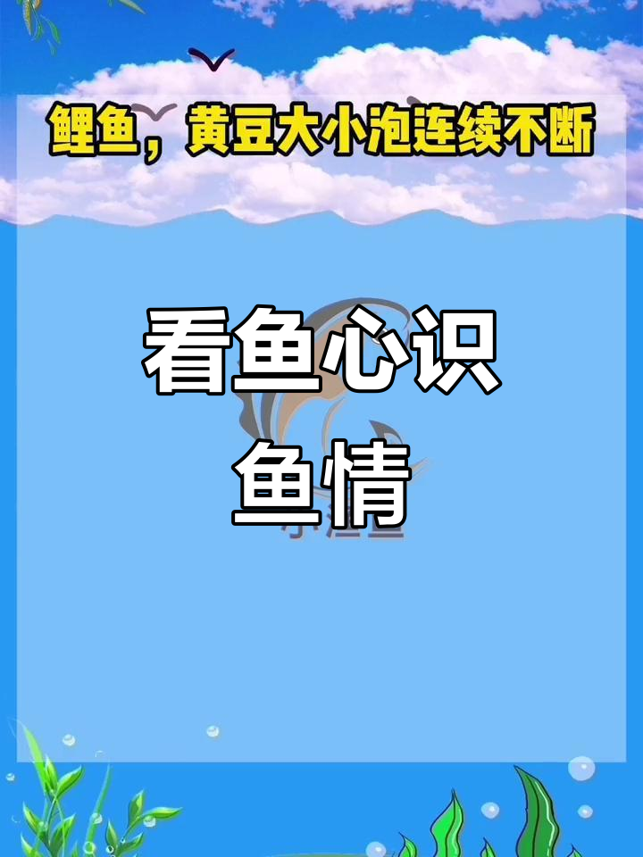 鱼星如何判断鱼的种类和数量？