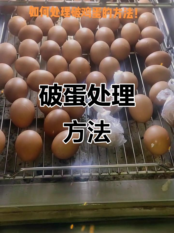 破鸡蛋不再浪费!教你简单处理技巧,蒸熟后完美如新