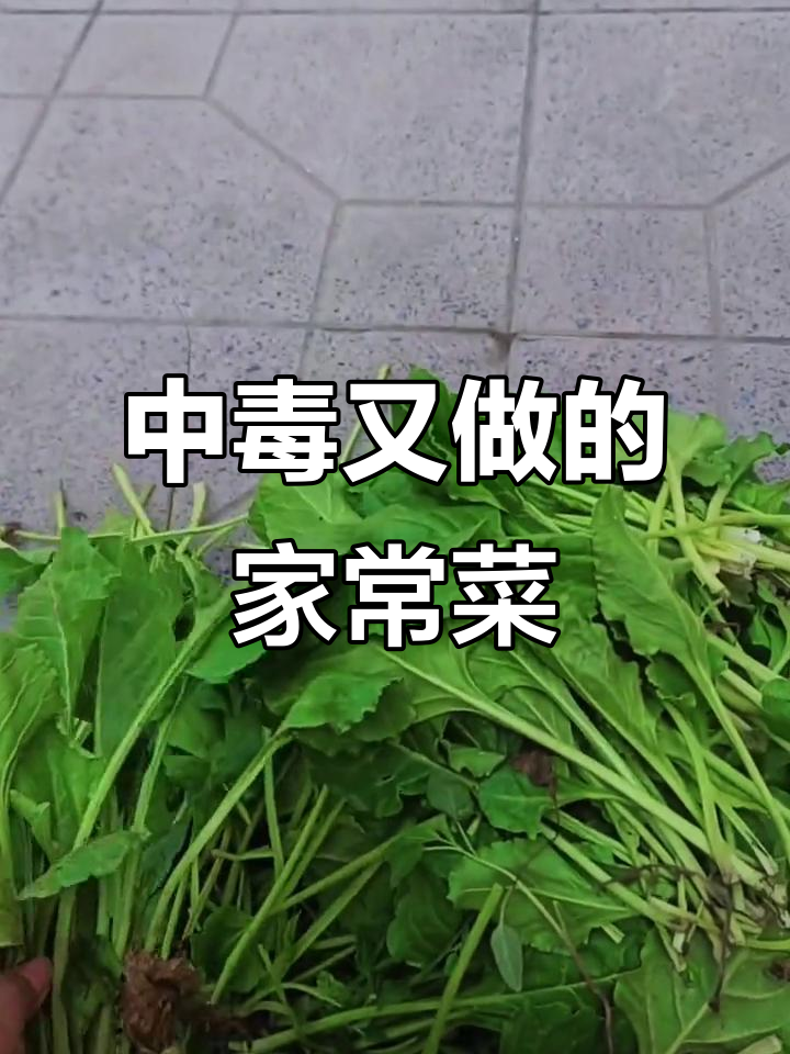 曾因它中毒,脸肿一周,但妈妈爱做,今天还是做了这道菜
