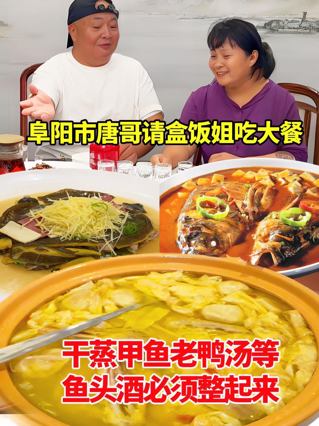 阜阳市,唐哥请盒饭姐吃大餐,干蒸甲鱼等,鱼头酒必须整起来 阜阳市,唐哥请盒饭姐吃大餐,干蒸