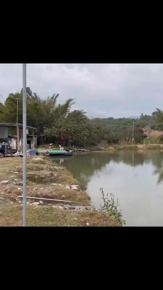 揭阳揭西六一休闲钓场有名,鱼情丰富适合钓鱼。抖音团购50元可体验钓土鲮鲫鱼,划算,先囤,不