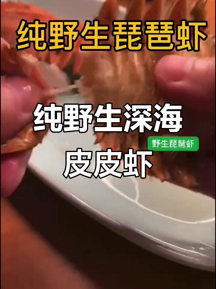 惠来深海野生琵琶虾,鲜美无比的海味珍品