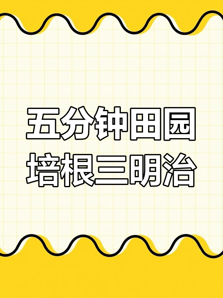 田园培根鸡蛋三明治,五分钟搞定美味早餐