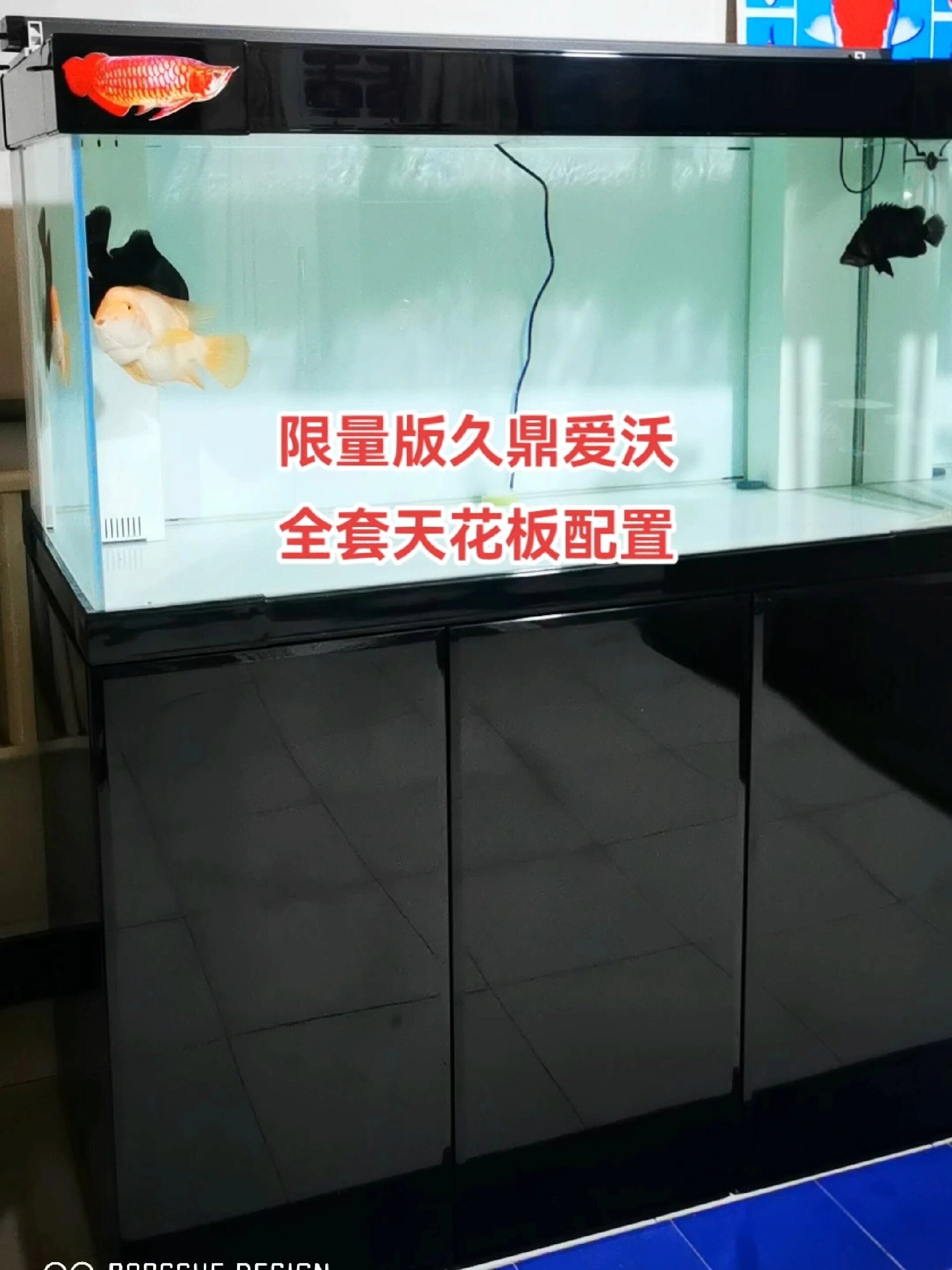 二手久鼎爱沃龙鱼缸