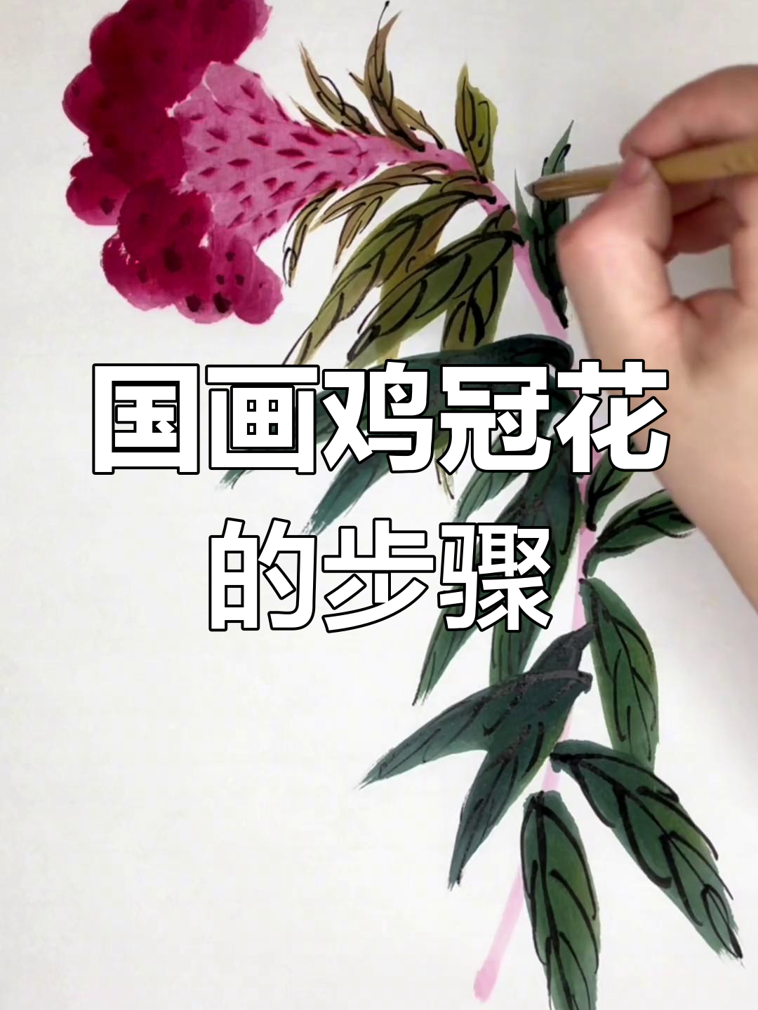 鸡冠花国画绘制技巧