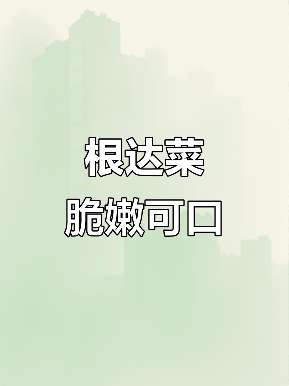 根达菜:南方牛皮菜的独特魅力,生长快又美味