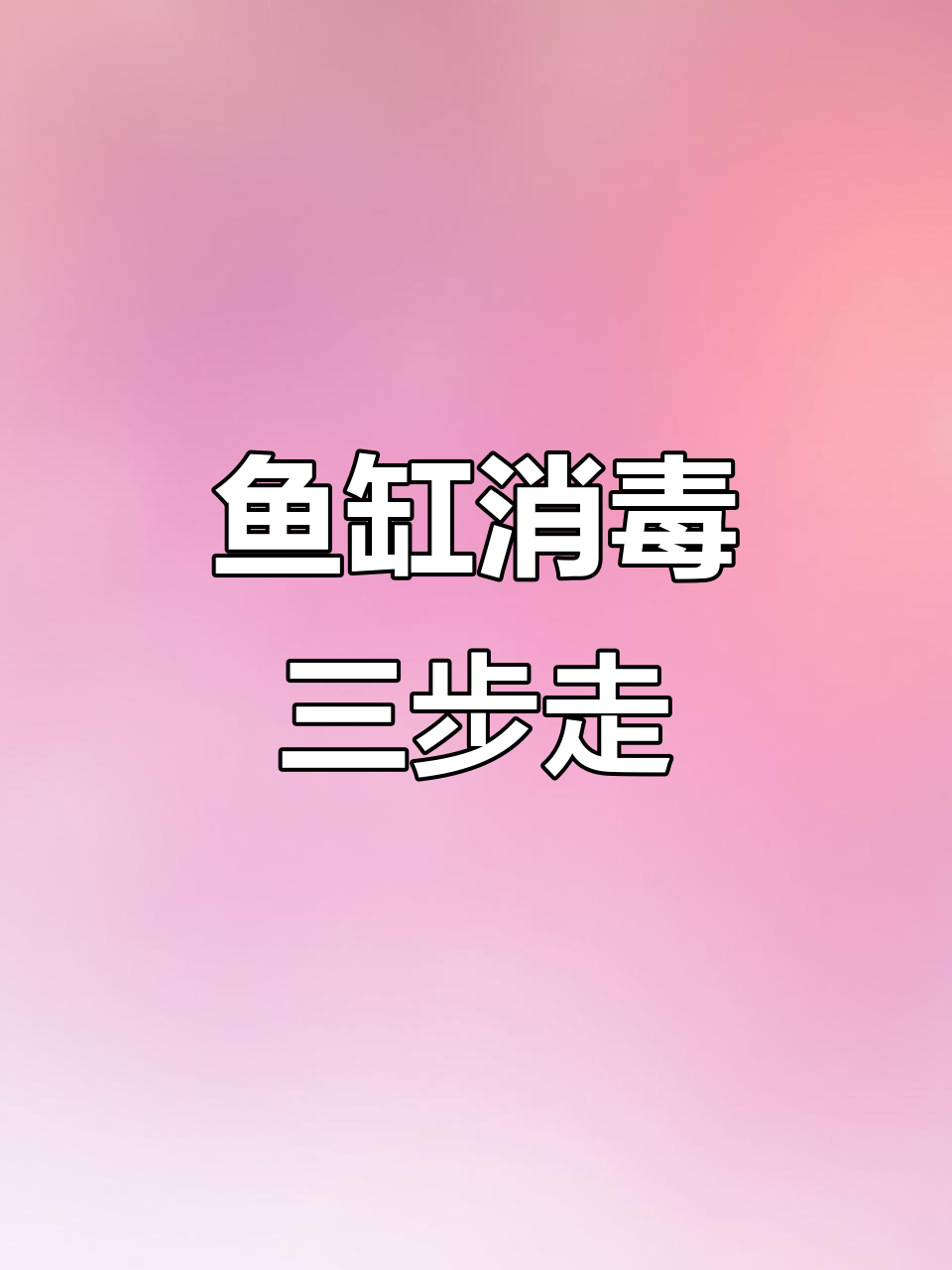 鱼缸消毒全攻略:如何处理死鱼和清洁水质
