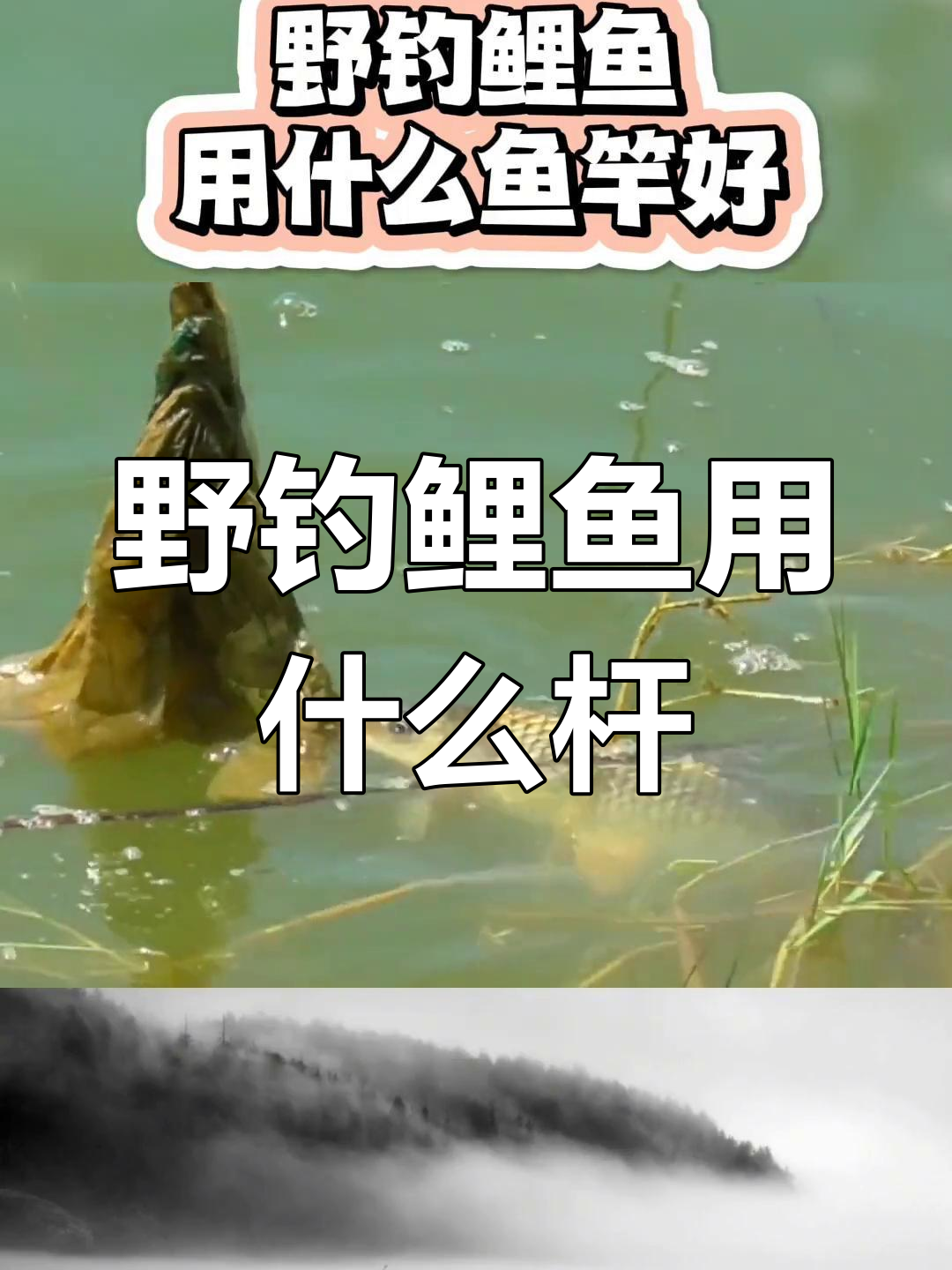 钓鲤鱼选竿指南:手竿、矶竿与海竿对比