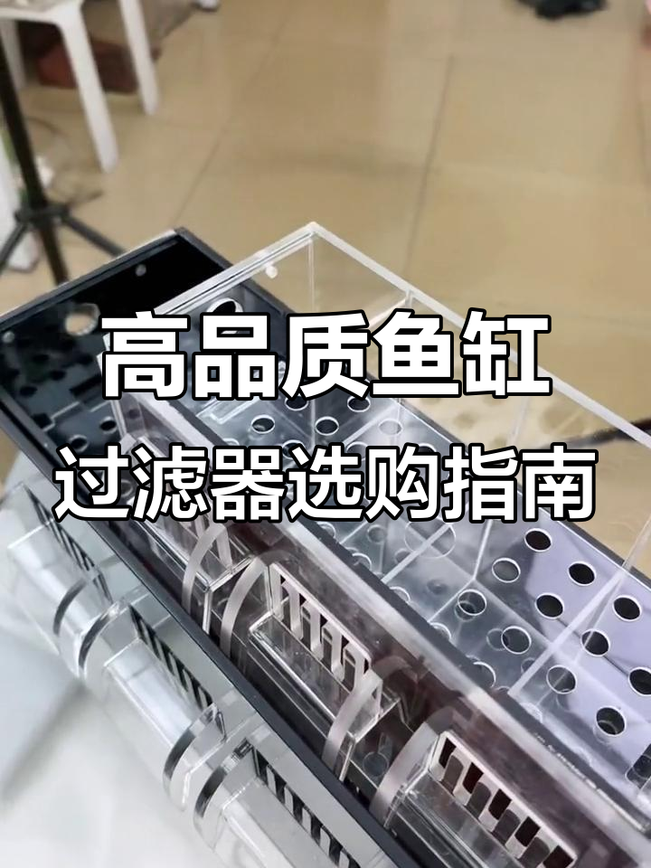 鱼缸过滤系统全解析:如何挑选高品质滤材与设备