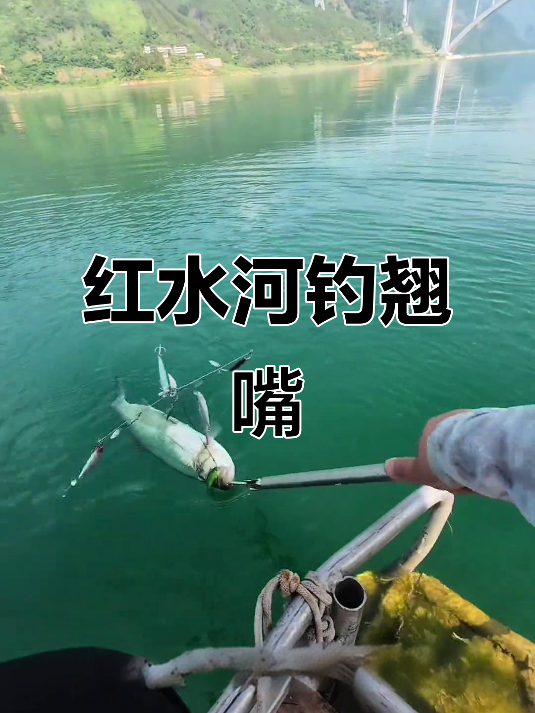 广西红水河路亚翘嘴大作战,打劫?解密钓鱼人的神秘等待