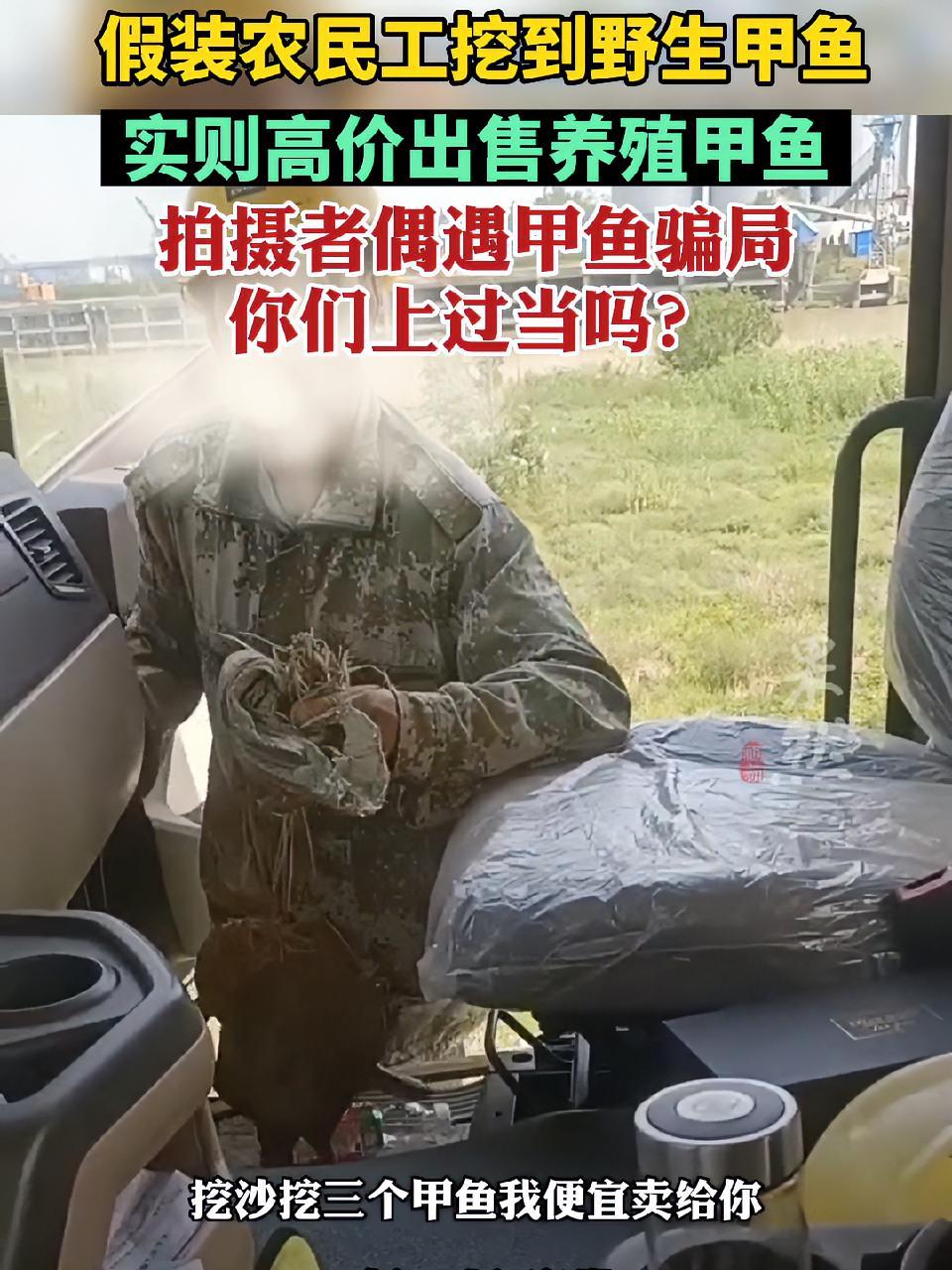 假装农民工挖到野生甲鱼,实则高价出售养殖甲鱼,拍摄者偶遇甲鱼骗局,你们上过当吗?