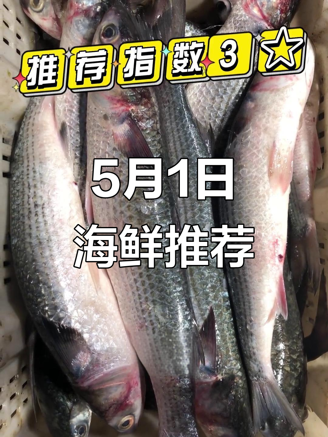 五一海鲜推荐:梭鱼、河豚与海胆,价格实惠又美味