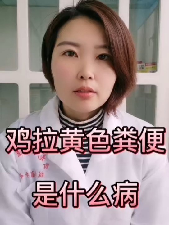 禽医静心谈鸡拉黄色粪便是什么病