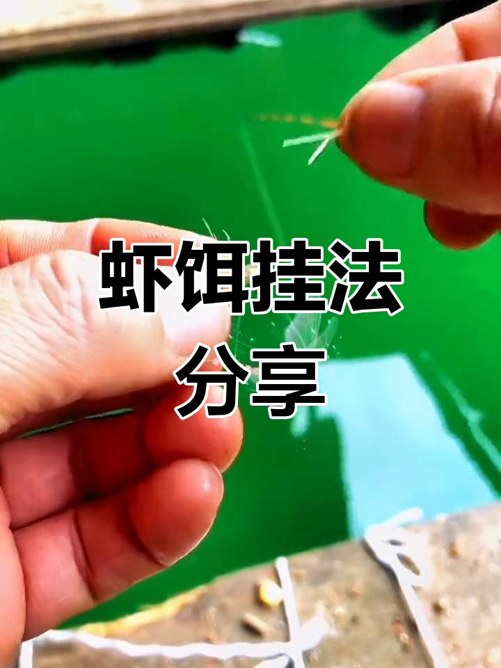 小草虾挂钩技巧,保持活性钓翘嘴