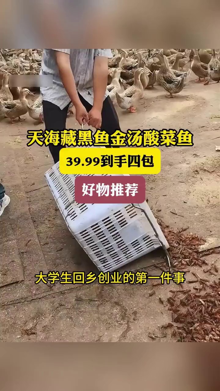再也不去饭店吃酸菜鱼了,天海藏家的金汤酸菜鱼也太划算了吧!酸菜鱼 金汤酸菜鱼