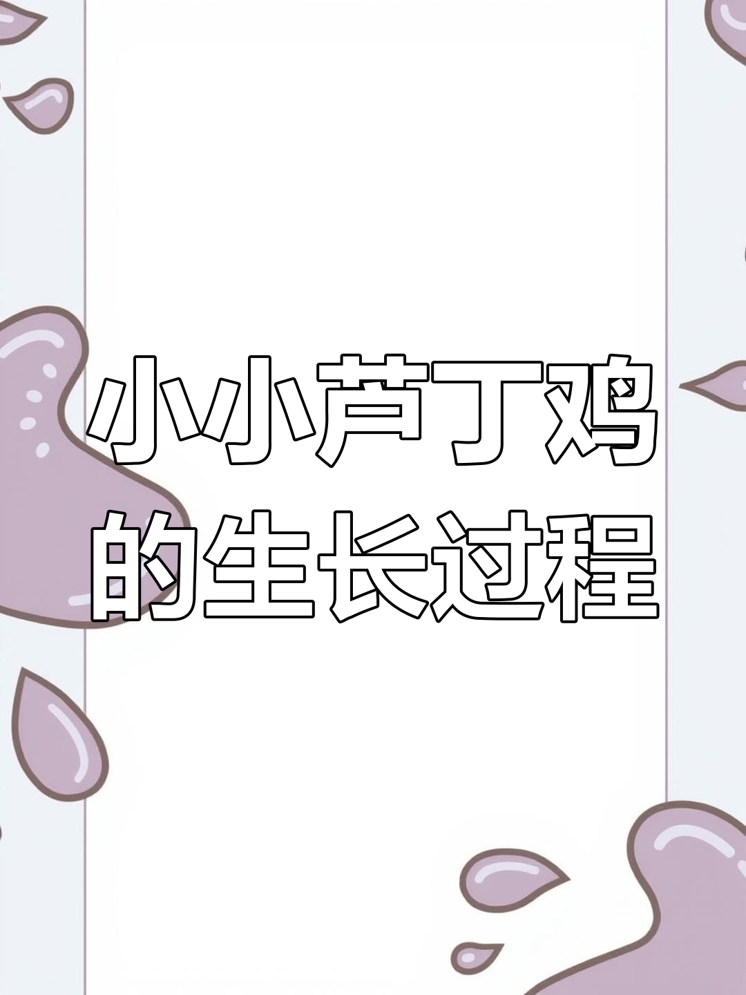 芦丁鸡的成长日记:从孵化到自立