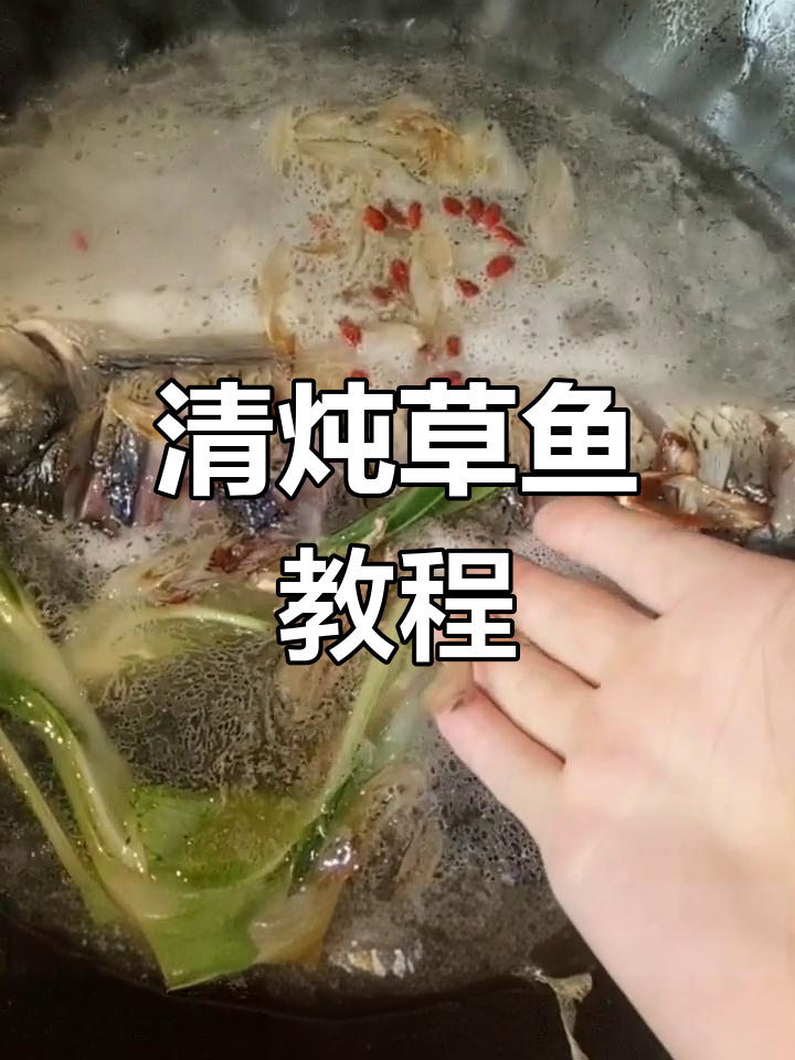 草鱼清炖,家常美味,轻松学会!