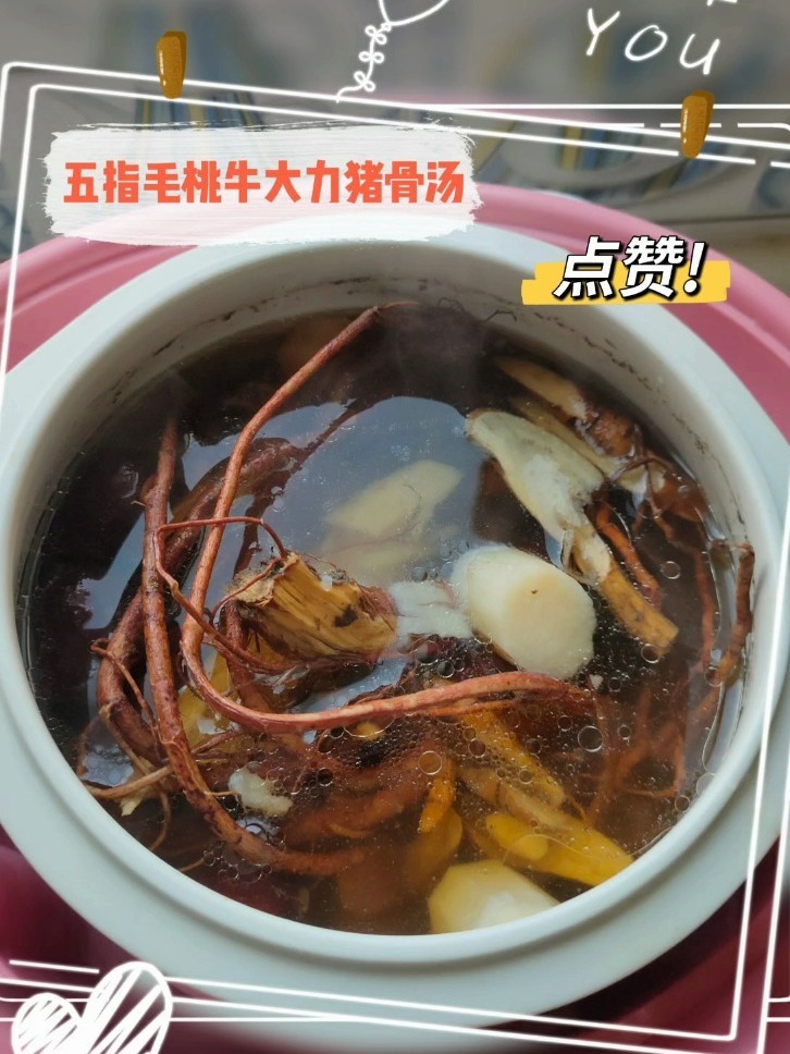 五指毛桃牛大力猪骨汤