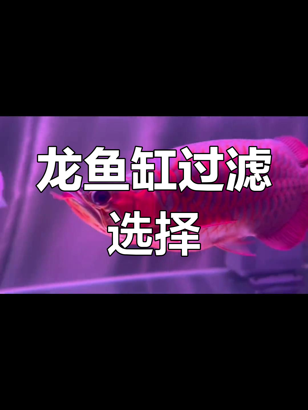 龙鱼缸过滤系统大揭秘:上部、底部还是无滤材?