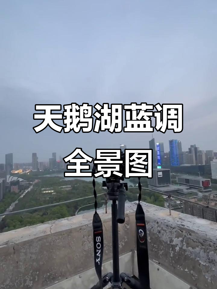 蓝调时刻天鹅湖全景拍摄,高楼围墙挑战三脚架造型