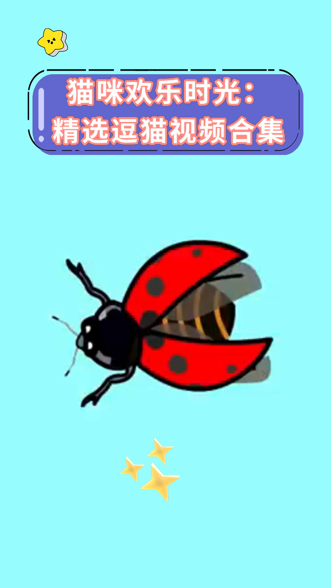 猫咪欢乐时光:精选逗猫视频合集