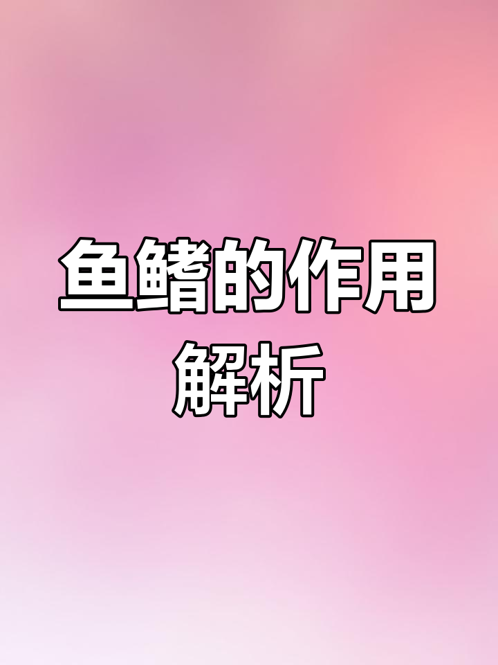 鱼鳍功能大揭秘:从平衡到推进,每一种都有独特作用
