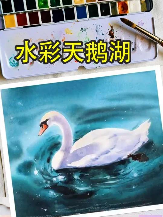 水彩画天鹅,简单好上手~