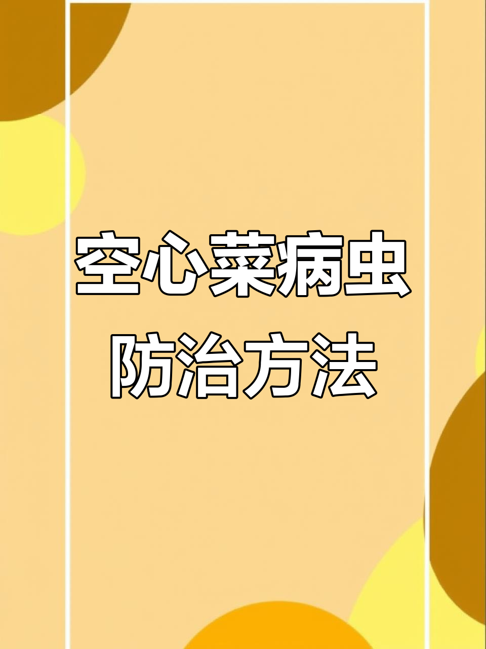 空心菜常见病虫害防治技巧,轻松解决病害困扰