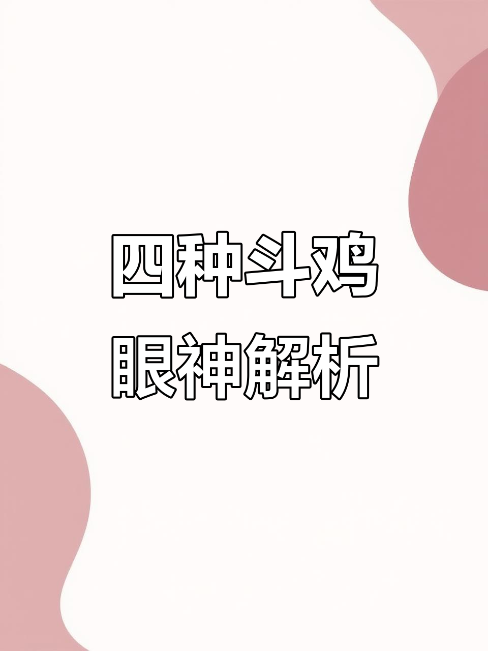 斗鸡眼色大揭秘:青、白、黄、红四种眼睛的特点与品质