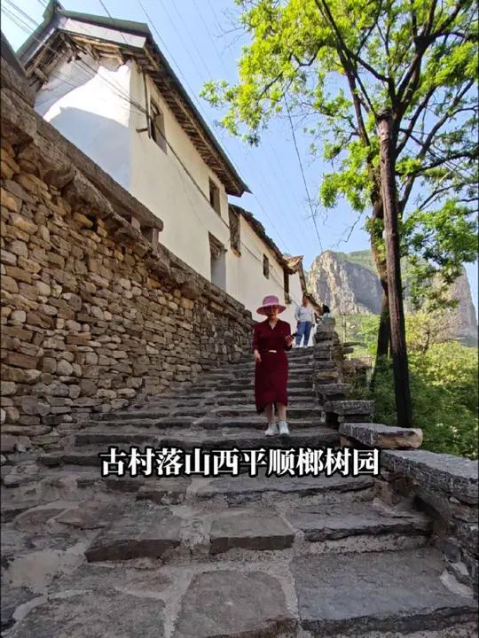 古村落山西平顺榔树园