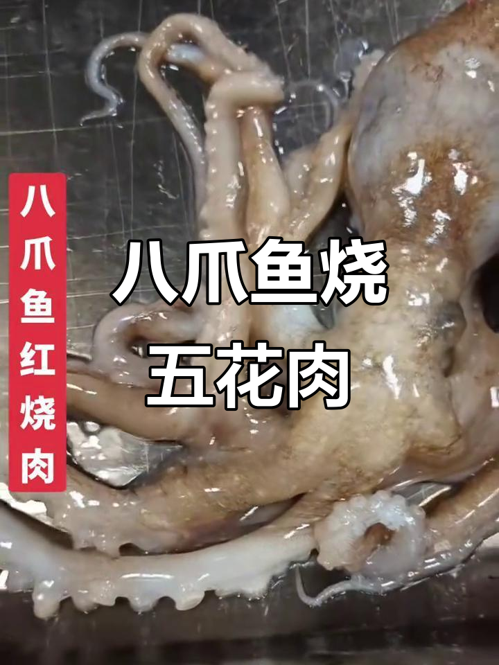 八爪鱼红烧肉,做法简单但味道超赞