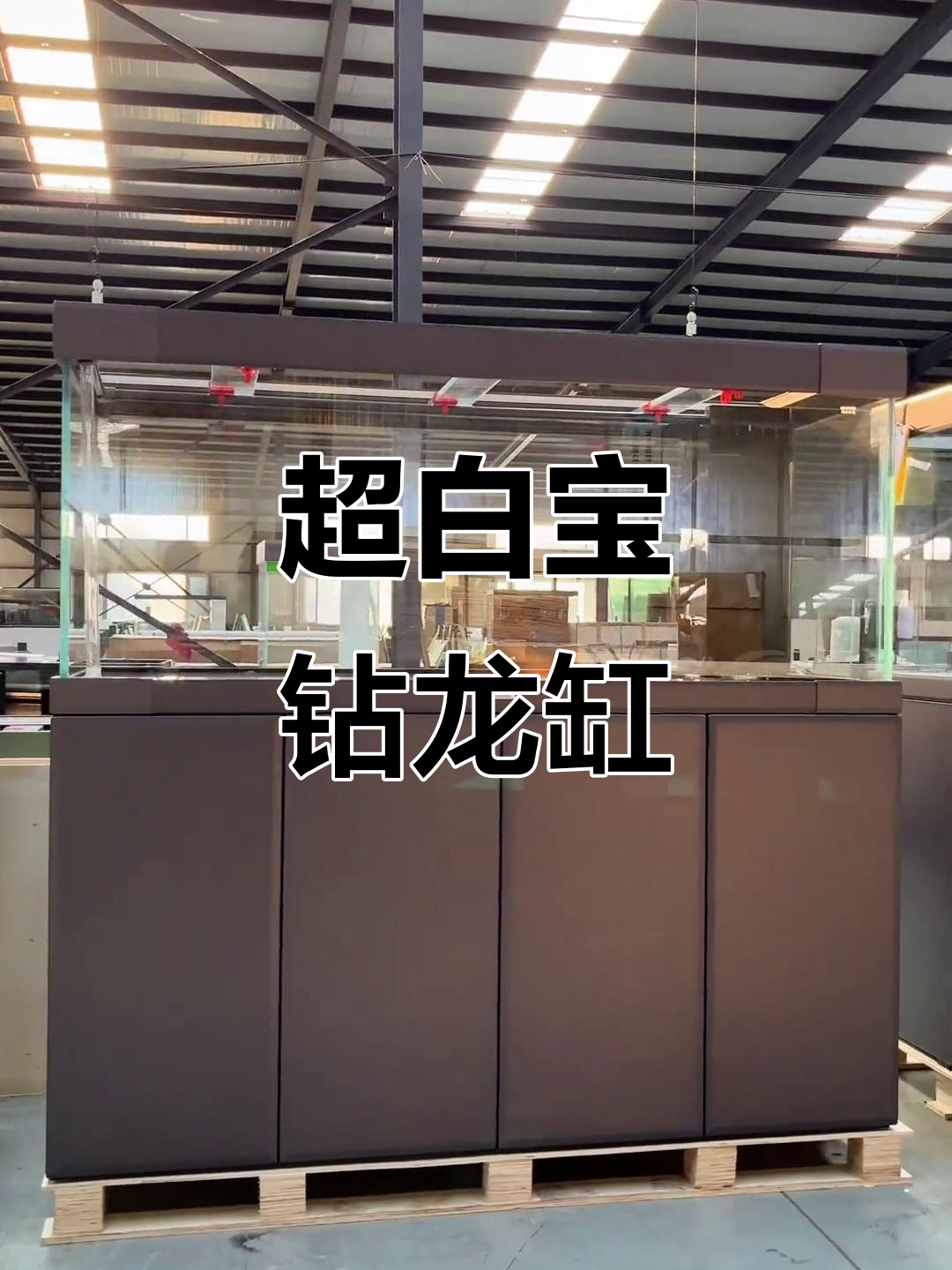 宝马灰宝钻龙缸,超白鱼缸定制款解析