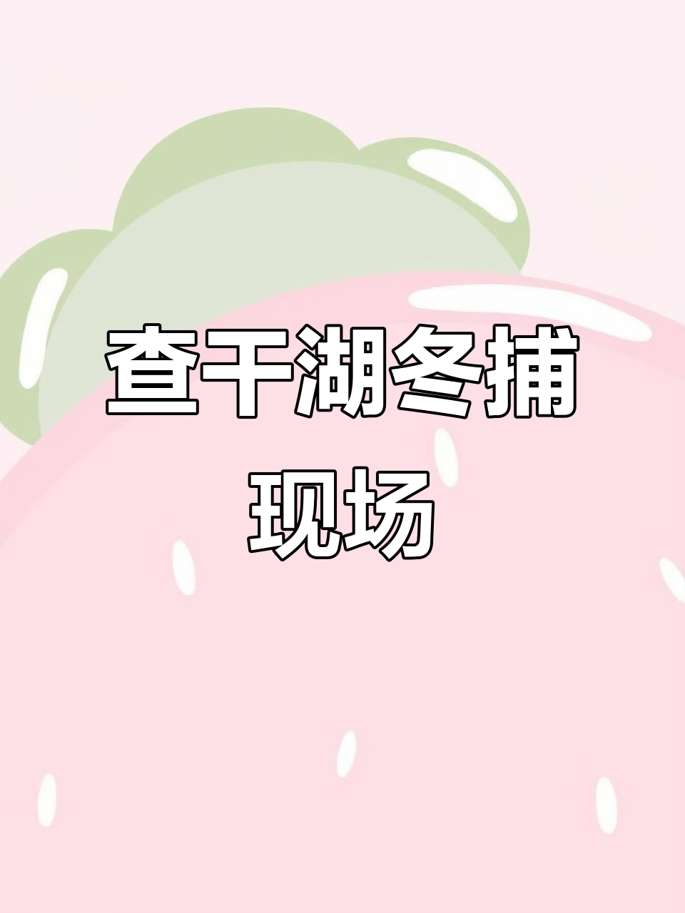吉林松原查干湖冬季捕鱼盛况,热闹非凡