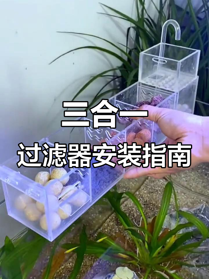 鱼缸过滤系统全解析:三合一过滤器与水泵搭配技巧