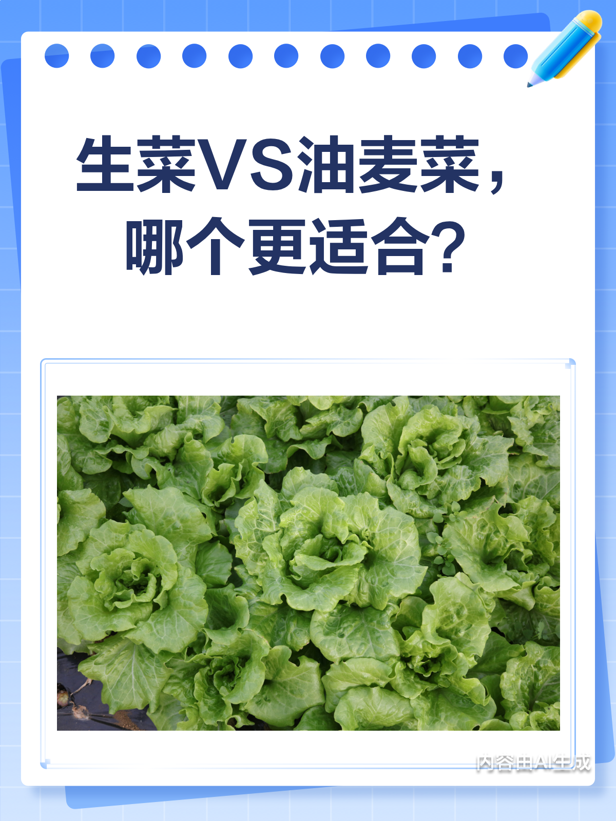 生菜VS油麦菜,营养大比拼!哪个更胜一筹?