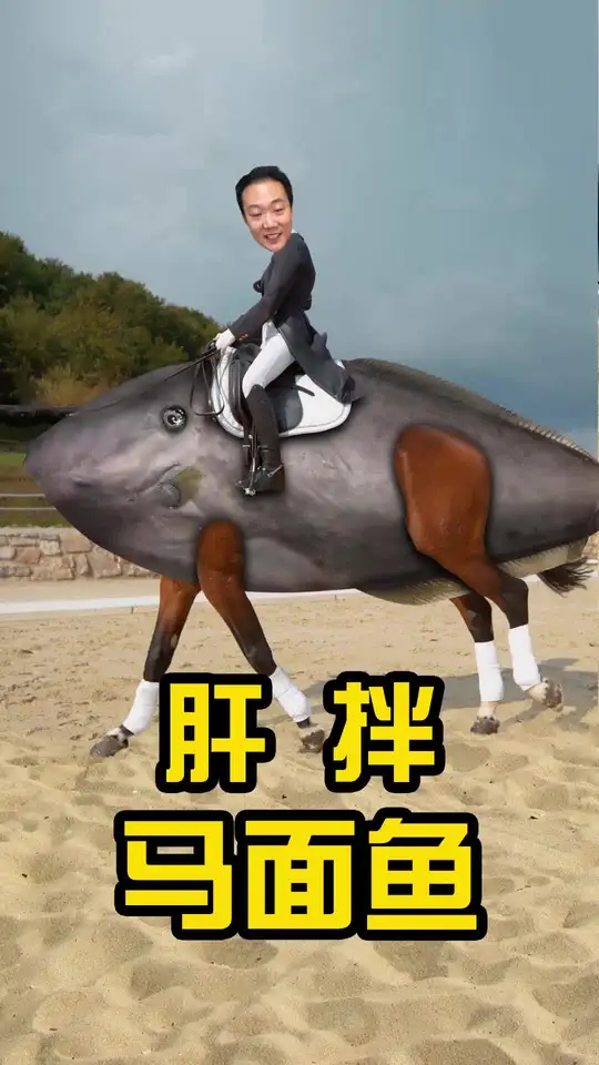 拥有鱼脸马身的马面鱼，做成刺身拌肝尝尝！
