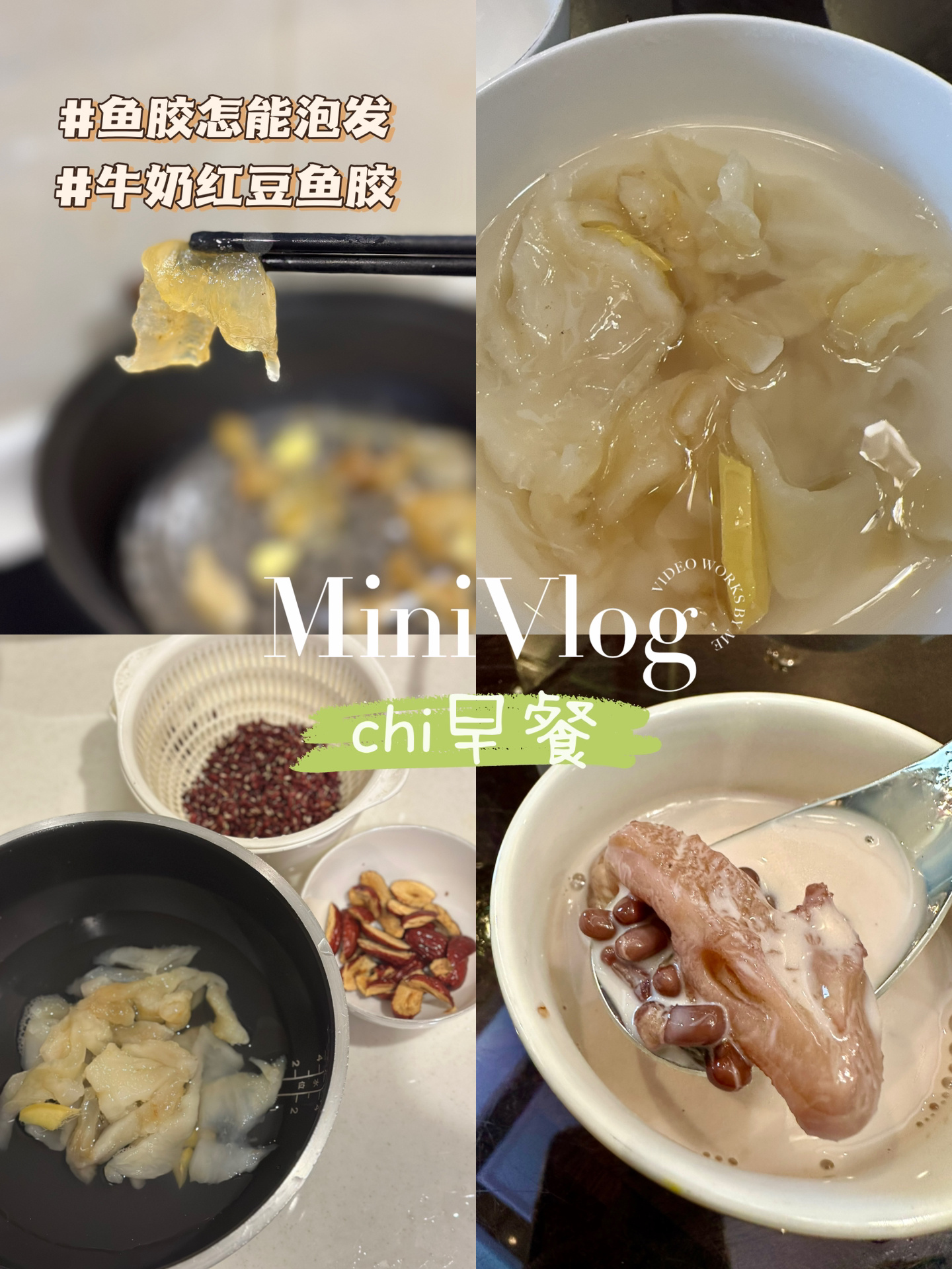 chi早餐|鱼胶泡发|附最爱的鱼胶吃法