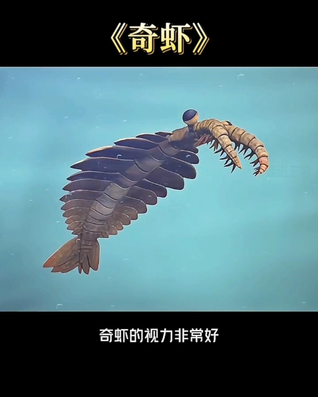 寒武纪最大的动物——奇虾