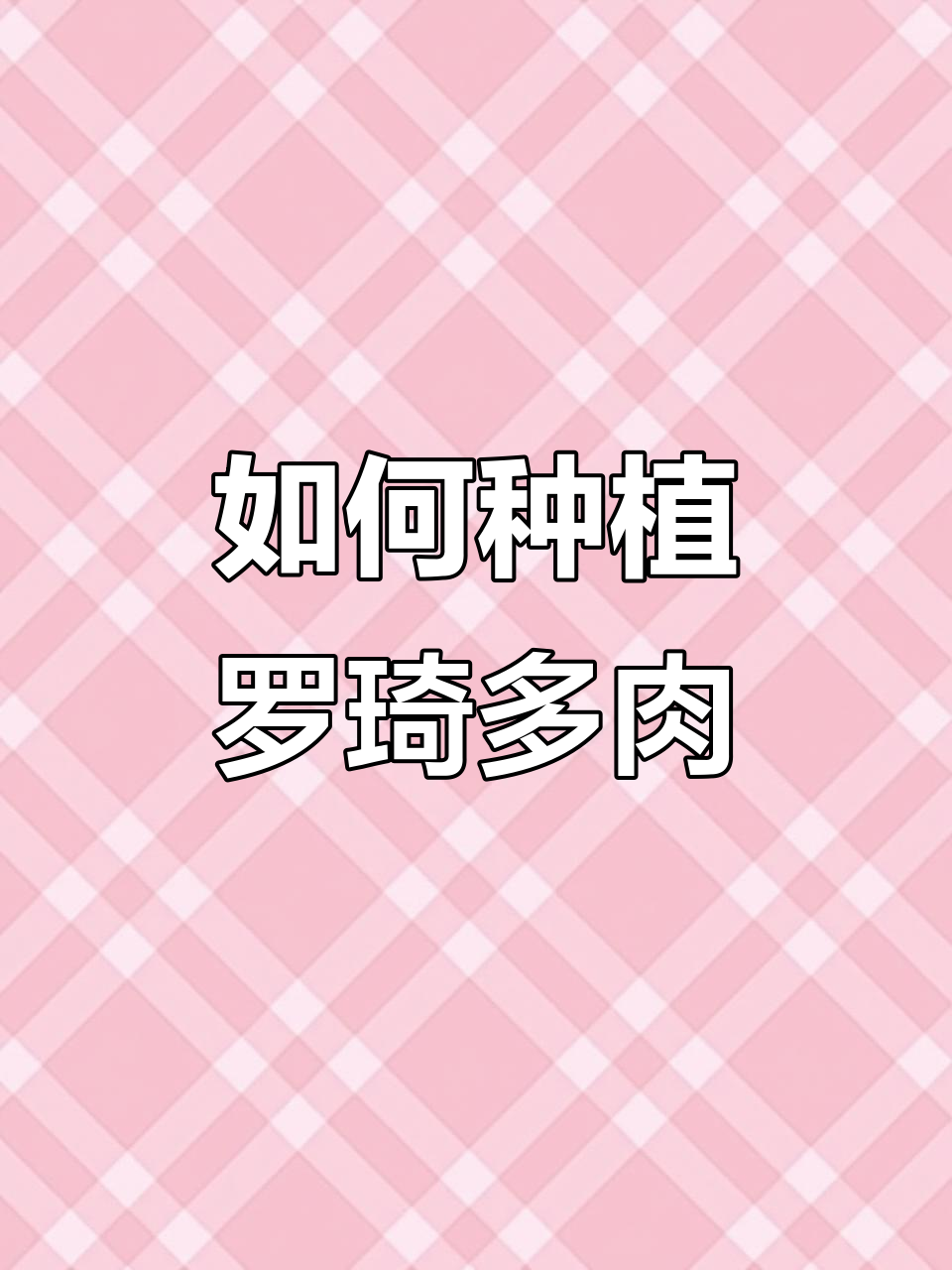 罗琦多肉栽种全攻略,轻松学会养护技巧