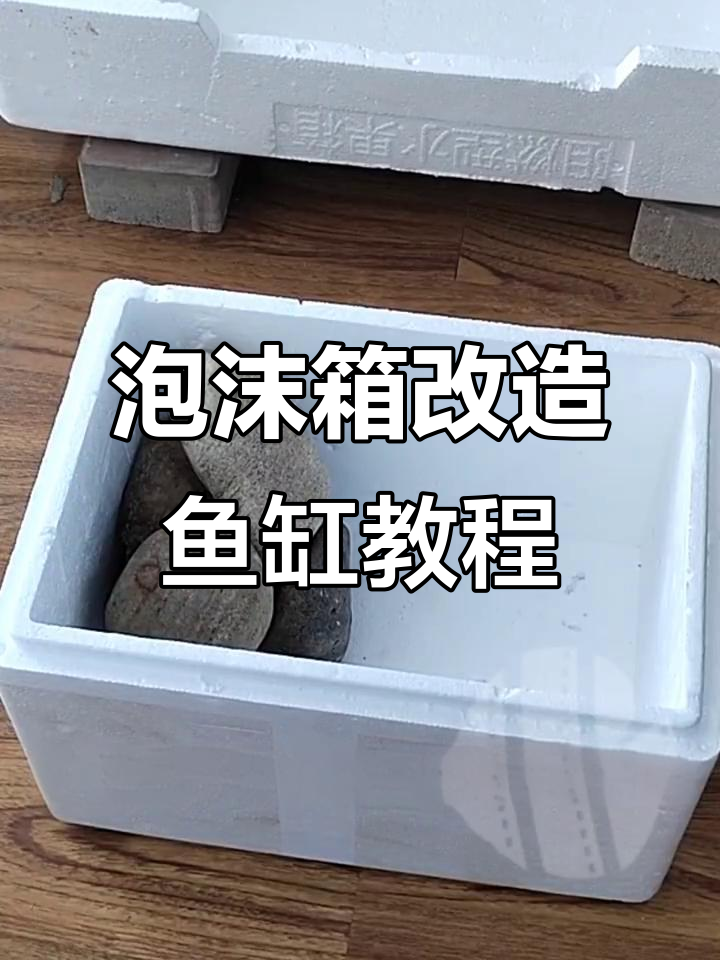 用泡沫箱做古法鱼缸,刷水泥打造雅致效果